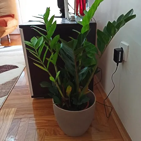 דירה Bk Apartment, Istocno Sarajevo, *